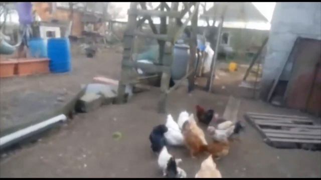 Мир, труд, апрель! Птицы, уборка, огород, костёр! Утренняя электричка в Москву! Лосинка -час пик( смотреть онлайн