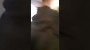 24 часа в Вольске. Поездка в Вольск с классом.