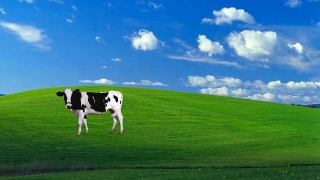 (explicit) Doja cat- Mooo! смотреть онлайн