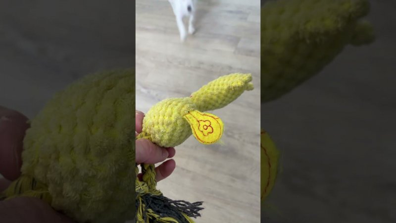 Доброе утро!