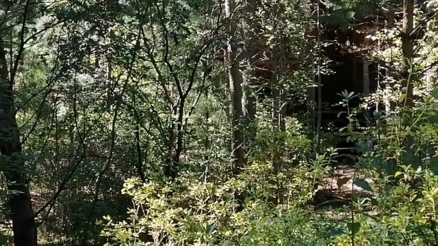 Аршан в августе. День 1й.Прогулка к водопаду, каменная река, база"Сосновый бор" #аршан#отдыхваршане
