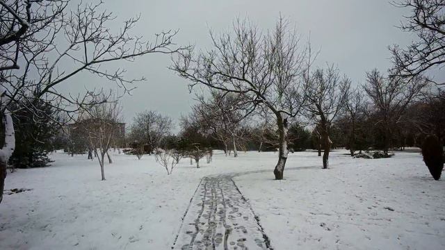 АНАПА 07.01.2019 РОЖДЕСТВЕНСКИЙ ПОДАРОК АНАПЕ смотреть онлайн