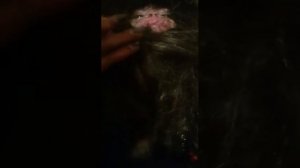 Шок!!!! Поймали домового часть 1