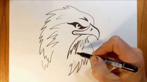 Как нарисовать орла / рисунки для срисовки / how to draw an eagle.