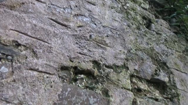 Ardgillan Castle co Dublin/ Замок Ardgillan в Дублине смотреть онлайн