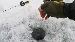 Решил поймать рыбу На озере у дороги И ВОТ ЧТО ИЗ ЭТОГО вышло! Первый лёд 2021