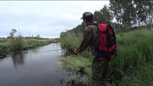 Рыбалка в Омской области. Река Оша.