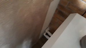 Газовый котел!