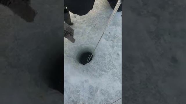 Зимняя рыбалка в рыбацкой деревне на вднх смотреть онлайн