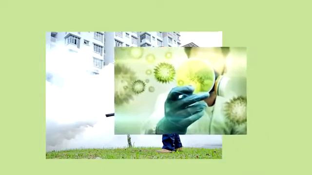 Дезинсекция, дезинфекция, дератизация и демеркуризация в городе Смоленске смотреть онлайн