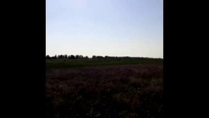 День пожилого человека 2020