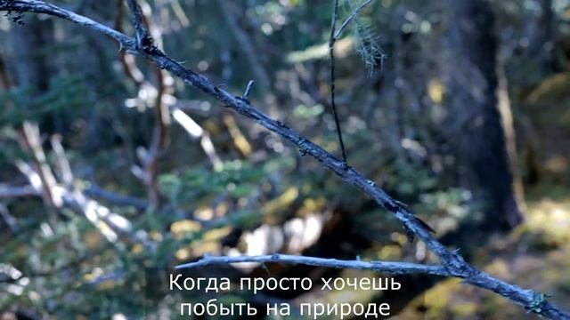 Китай - Шангри-ла. Путешествуем по Китаю. Национальный парк Пудацуо смотреть онлайн