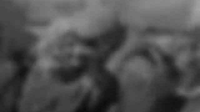 Выпускникам 1941-го года...