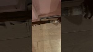 Бюджетный ремонт. Уложили ламинат, не истратив ни копейки?