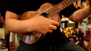 NEW/Uma Ukulele UK-35SC Concert @ukuleleshoptantan