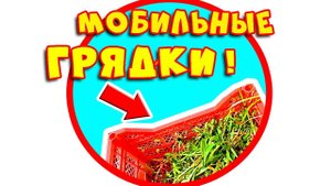 Мобильные грядки из овощных контейнеров. Переносные грядки. Клумба из покрышек #1
