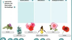 Excel 8th grade. Module 6. The natural World. Flowers