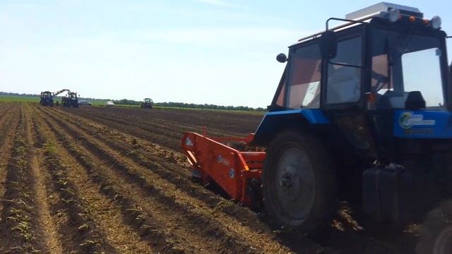 Агроток. Уборка картофеля. смотреть онлайн