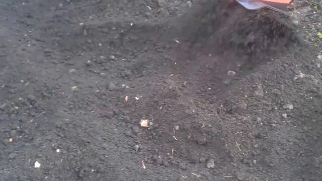 Культиватор электрический ручной Expert Garden