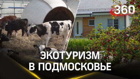 Экотуризм в Подмосковье для каждого. Мособлдума разрабатывает законопроект по его развитию