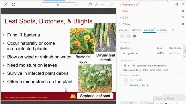 Healthy Plants for Better Blooms with Michelle Grabowski смотреть онлайн