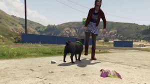 Grand Theft Auto V мопс