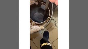 лавр в сажевый 2