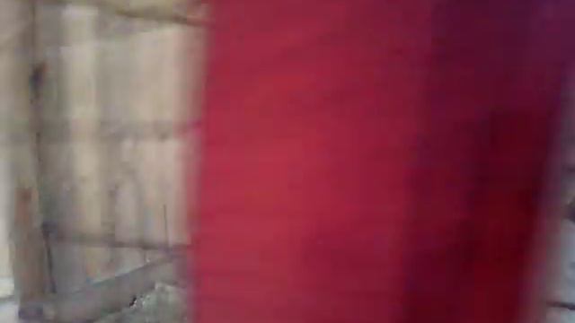 новый зоопарк смотреть онлайн