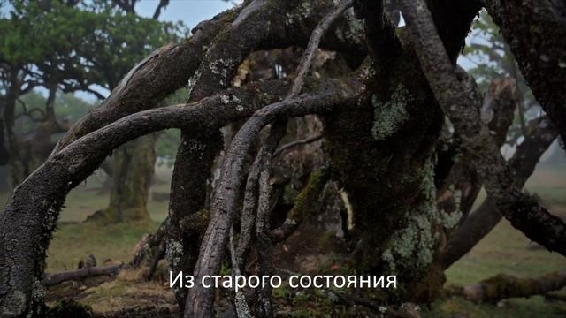 Путь к исцелению женской души // theonegoddess.ru