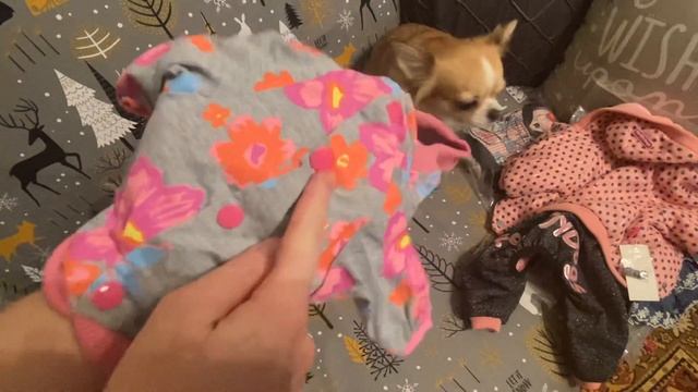 Распаковка посылки ? от Formydogs. смотреть онлайн