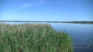 vatravel.ru Освейское озеро (Витебская обл, Белорусь)