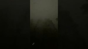 Летние ночи Юра Шатунов