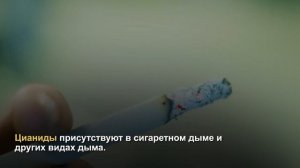 Что такое цианиды?