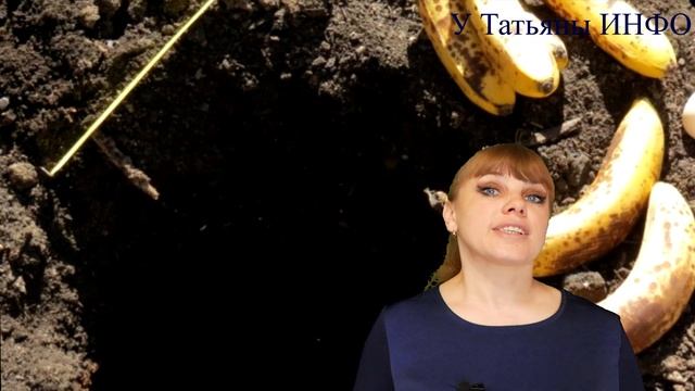 Удобрение из БАНАНОВОЙ КОЖУРЫ /шкурок/ для огородных растений!