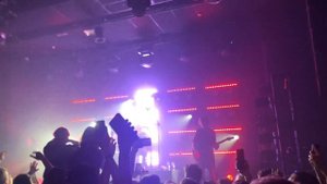 @Wildways - Цветы