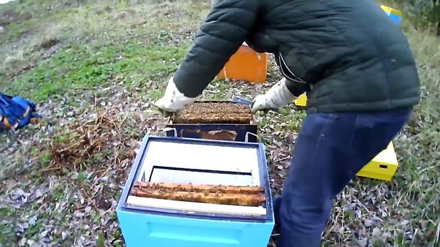 Drava № 1955 part 2 смотреть онлайн