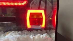 Герметично! Фонари Fristom в аквариуме