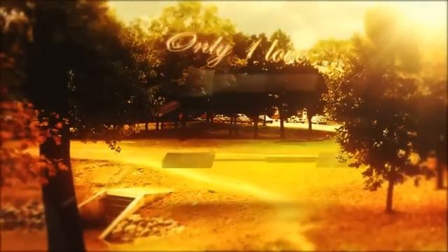 Свадебный футаж для After Effects