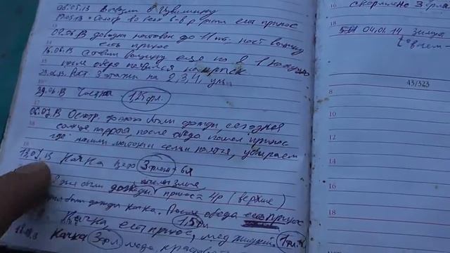 Пасека! Книжка для записей! Как ведем статистику по семьям и пасеке в целом! смотреть онлайн