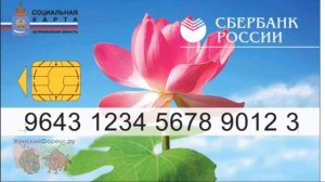 Социальная карта Сбербанка. Особенности платежного инструмента