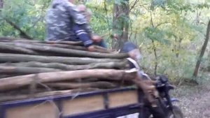 Муравей 4т груженый Трицикл зубр