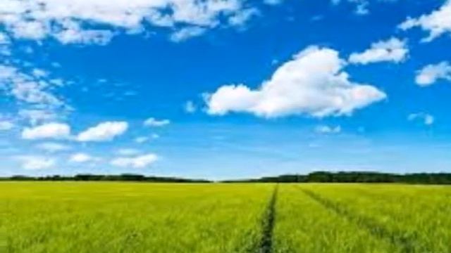 PAI SMA-SMK X Bab 4 Menganalisis makna beriman kepada malaikat-malaikat Allah SWT смотреть онлайн