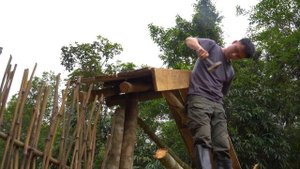 200 Day of building a beautiful gate for the garden, Clean grass for peanuts