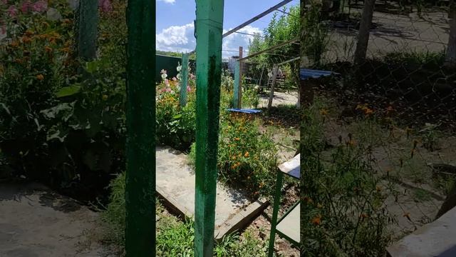 Монтажная пила смотреть онлайн