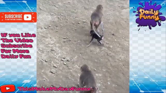 Funny Videos Best Fails of 2018 Viral Video Weekly fail compilation 2018 № 48 смотреть онлайн