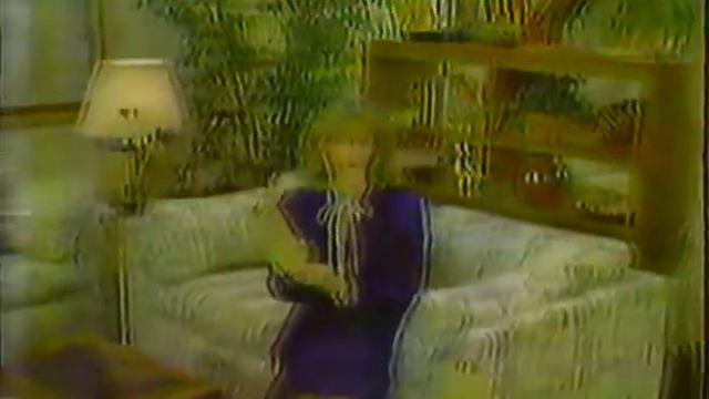 Shelly long commercial for homemakers in chicago 1983 смотреть онлайн