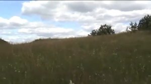 остров (ур.Межгоры) и прибрежная территория на реке Кема, Вологодская область, Вашкинский район