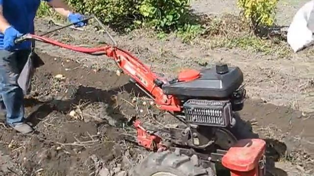 Копаем картошку мотоблоком VARI смотреть онлайн