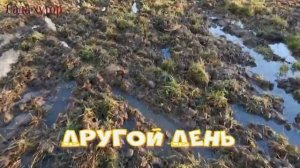 Пашем на адаптере #мотоблок#похать#адаптер#плуг#