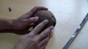 Кокос в аквариум. Для чего, для кого. Как подготовить!